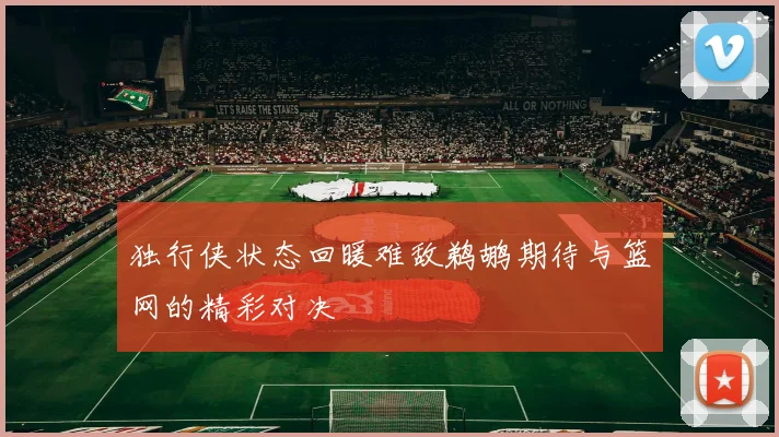 独行侠状态回暖难敌鹈鹕期待与篮网的精彩对决