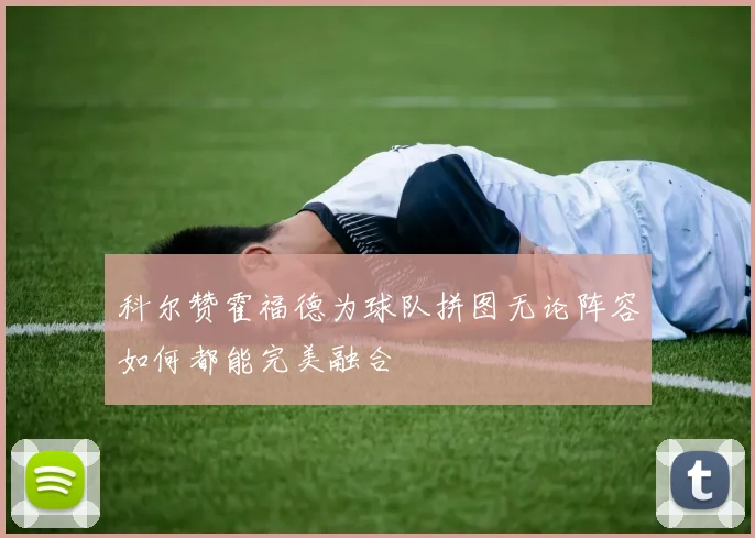 科尔赞霍福德为球队拼图无论阵容如何都能完美融合